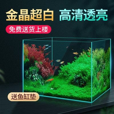草缸和魚缸的區別圖片：草缸與魚缸的區別