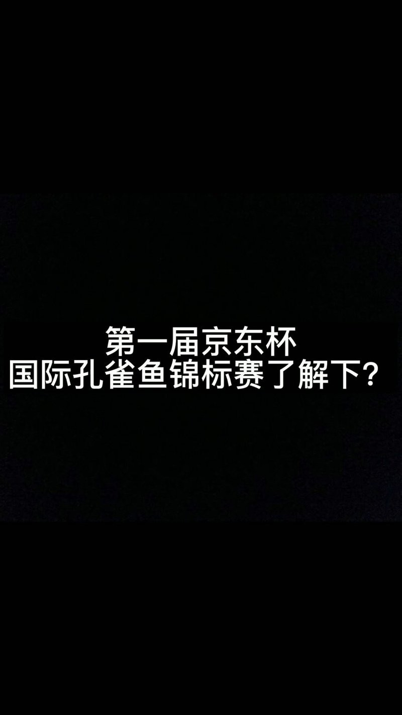 孔雀魚比賽視頻欣賞