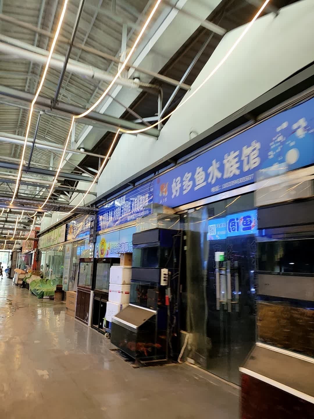 壹遇龍魚水族的具體位置在哪里？