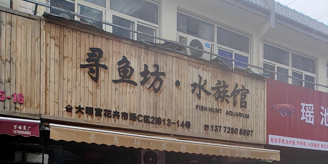 壹遇龍魚水族的具體位置在哪里？