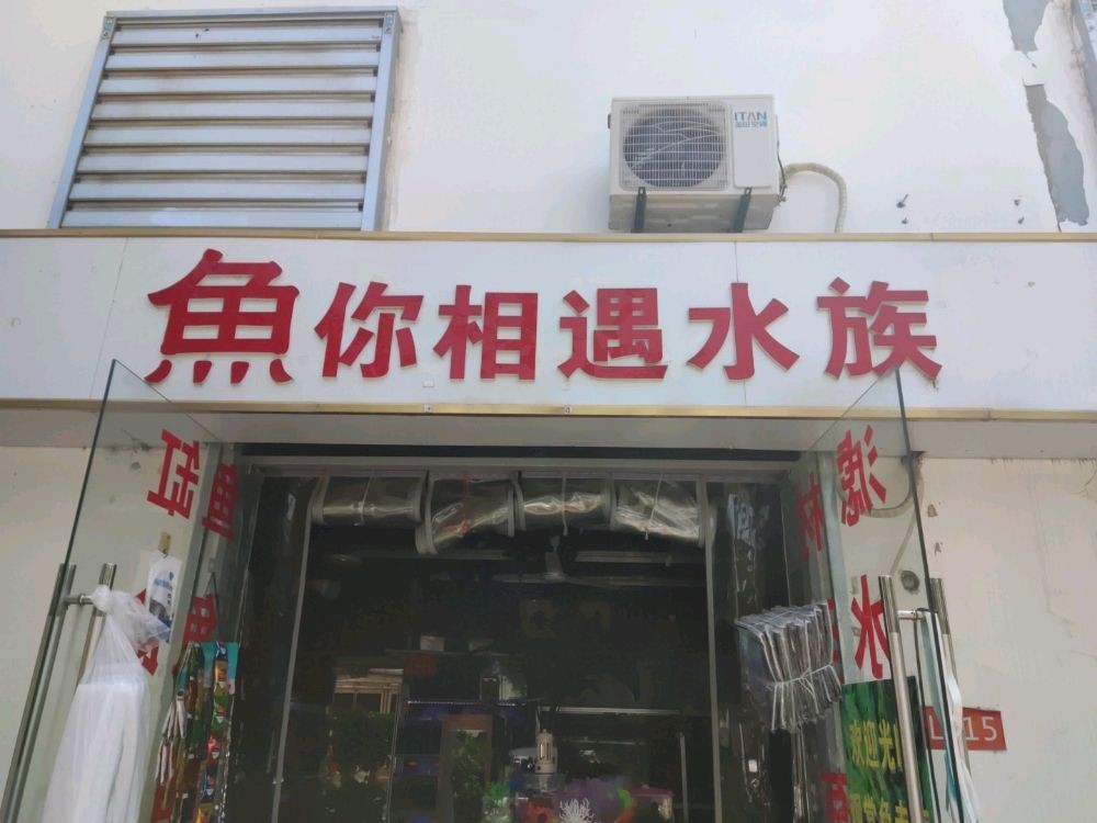 壹遇龍魚水族的具體位置在哪里？