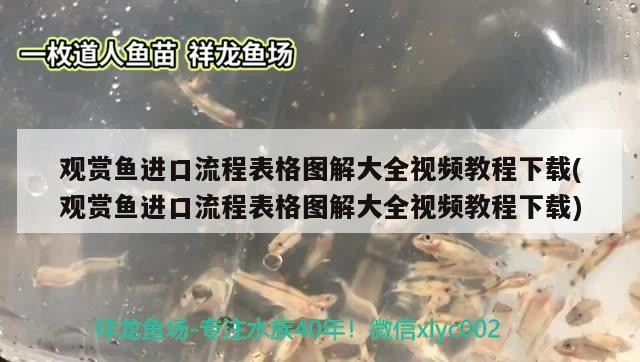 銀龍魚水溫（銀龍魚水溫最低多少度）