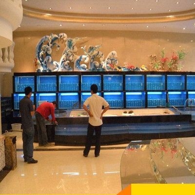 海鮮魚缸水質管理秘籍：海鮮館魚缸水質管理
