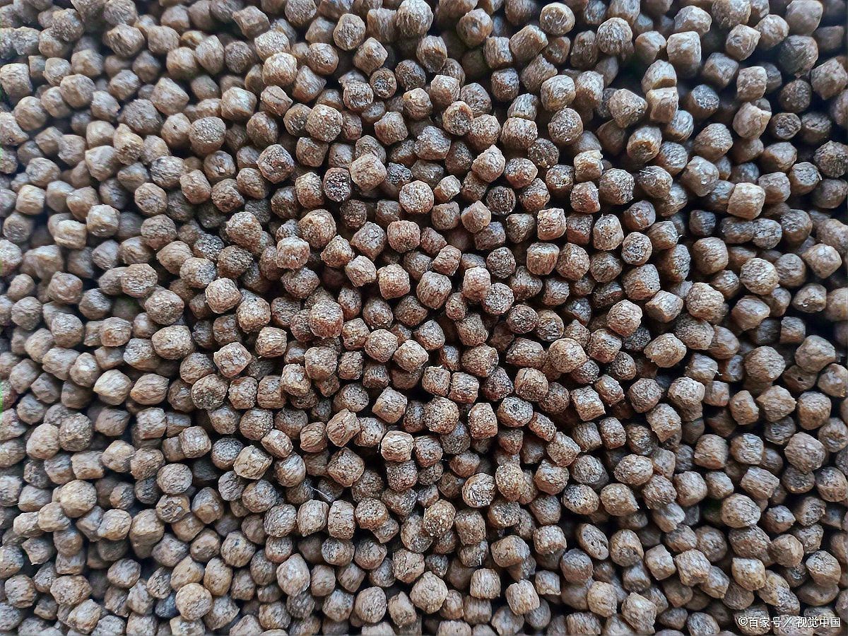 魚糧十大品牌