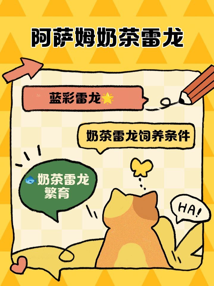 奶茶雷龍魚多少錢