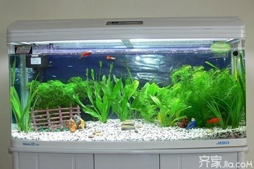 紅龍魚缸過濾系統(tǒng)如何設置