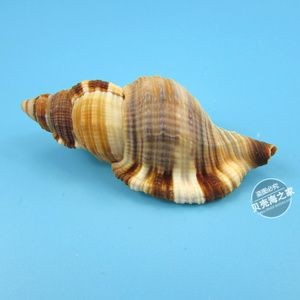 佛像魚缸造景裝飾的藝術水族箱裝飾藝術形式和注意事項：佛像魚缸造景