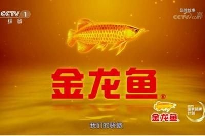 金龍魚贊美詞：贊美金龍魚的優美詞匯