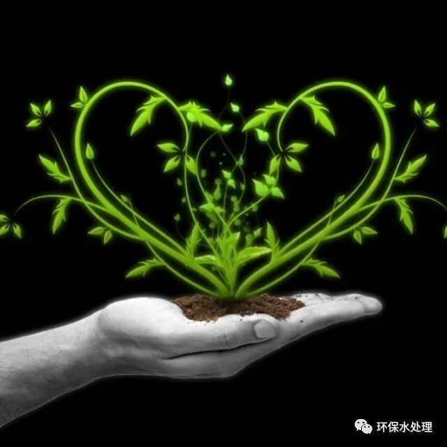 哪些因素會影響硝化細菌的生長？