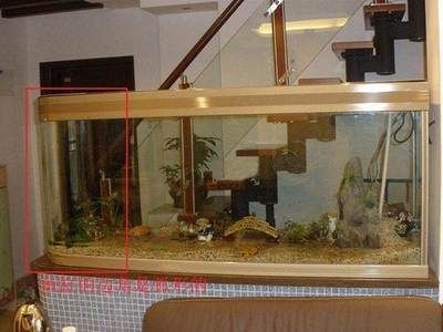 店鋪里魚缸什么形狀的好（店鋪里魚缸的形狀選擇不僅是一個裝飾問題，也是一個風水問題）