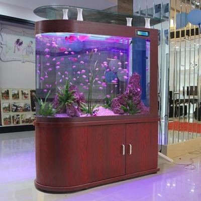 店鋪里魚缸什么形狀的好（店鋪里魚缸的形狀選擇不僅是一個裝飾問題，也是一個風水問題）