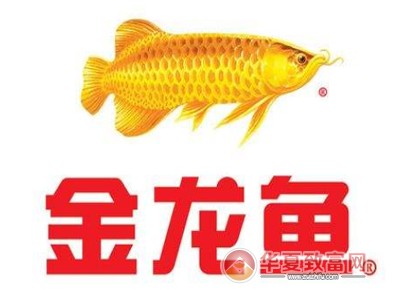 二手魚缸底柜價格多少（二手魚缸底柜價格多少合適）