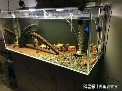 魚缸選購（有機玻璃魚缸）