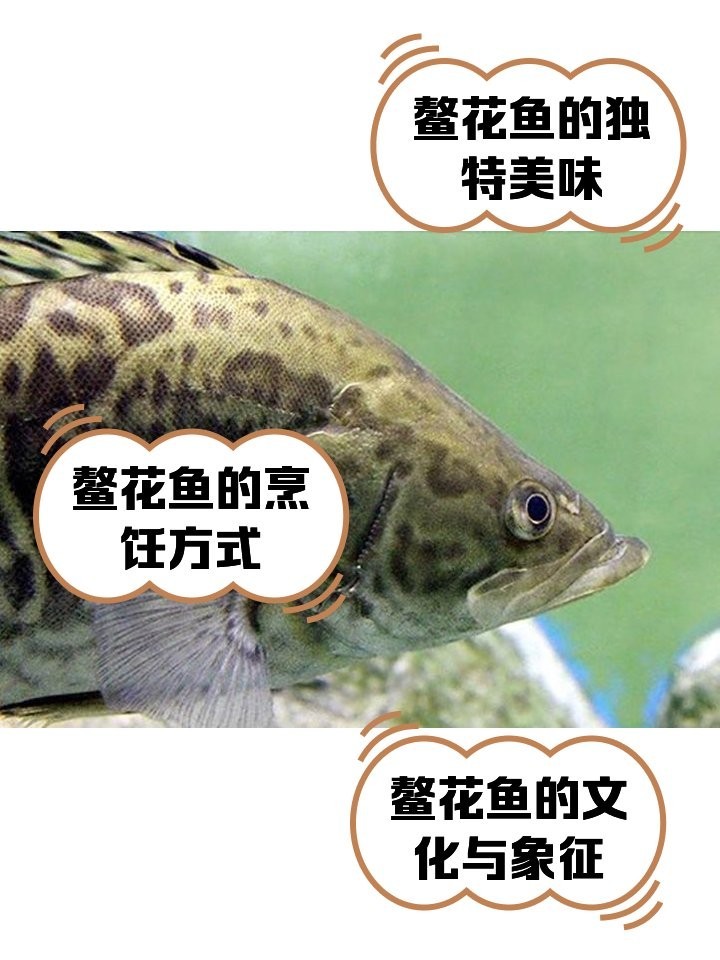 如何烹飪黑龍江鰲花魚？