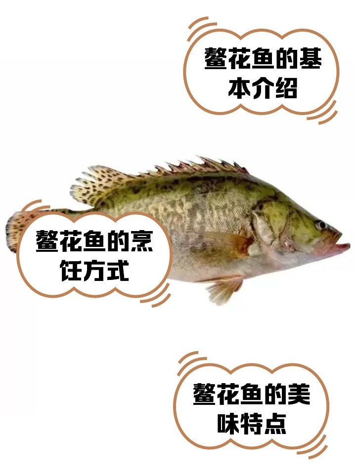 如何烹飪黑龍江鰲花魚？
