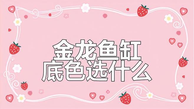 金龍魚缸底色用哪種好 金龍魚缸底色用哪種好 龍魚論壇 第2張