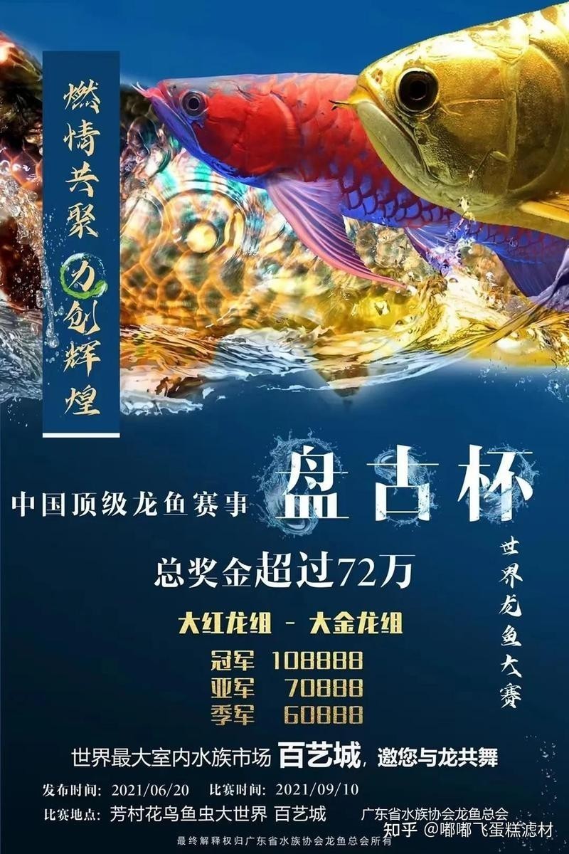 世界龍魚錦標賽怎么比
