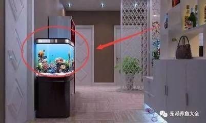 西南方位魚缸擺放的最佳尺寸：西南方位魚缸擺放的最佳尺寸應綜合考慮風水和實際尺寸