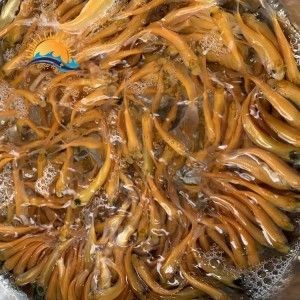 出售銀龍魚和珍珠魟魚各一條 出售銀龍魚和珍珠魟魚各一條 銀龍魚百科 第4張