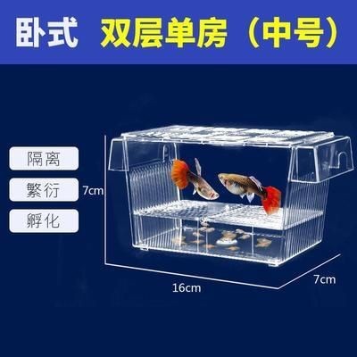 魚缸隔離能繁殖小魚嗎：如何使用魚缸隔離繁殖小魚