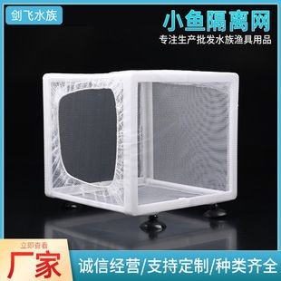 魚缸隔離能繁殖小魚嗎：如何使用魚缸隔離繁殖小魚