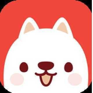 寵物售賣平臺 寵物售賣平臺 2025長城杯龍魚大賽 第2張