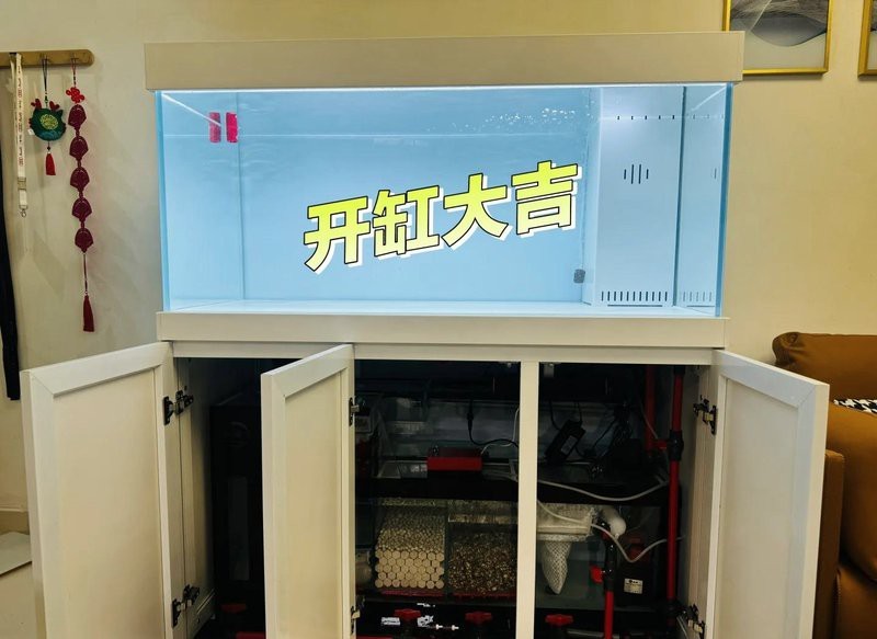 黑影道人魚壽命有多長？，森森1.5米龍魚缸推薦，性價比高的龍魚缸 黑影道人魚壽命有多長？，森森1.5米龍魚缸推薦，性價比高的龍魚缸 龍魚百科 第1張