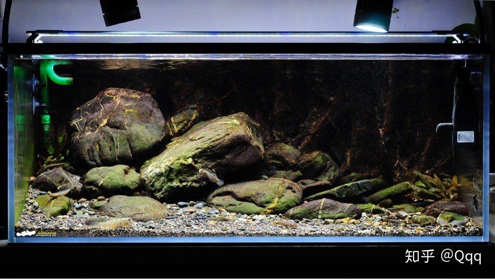 魚缸造景石頭的選擇和保養技巧：何清洗魚缸里的石頭是否適合放在魚缸里的石頭類型
