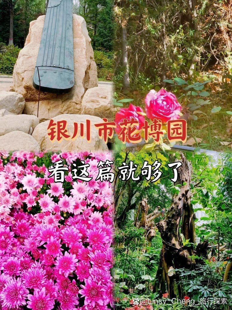 花博園水上樂園門票多少錢一張