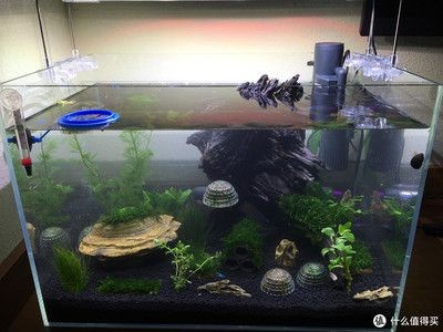 底濾魚缸改草缸視頻（如何將廢舊魚缸改造成水草缸）