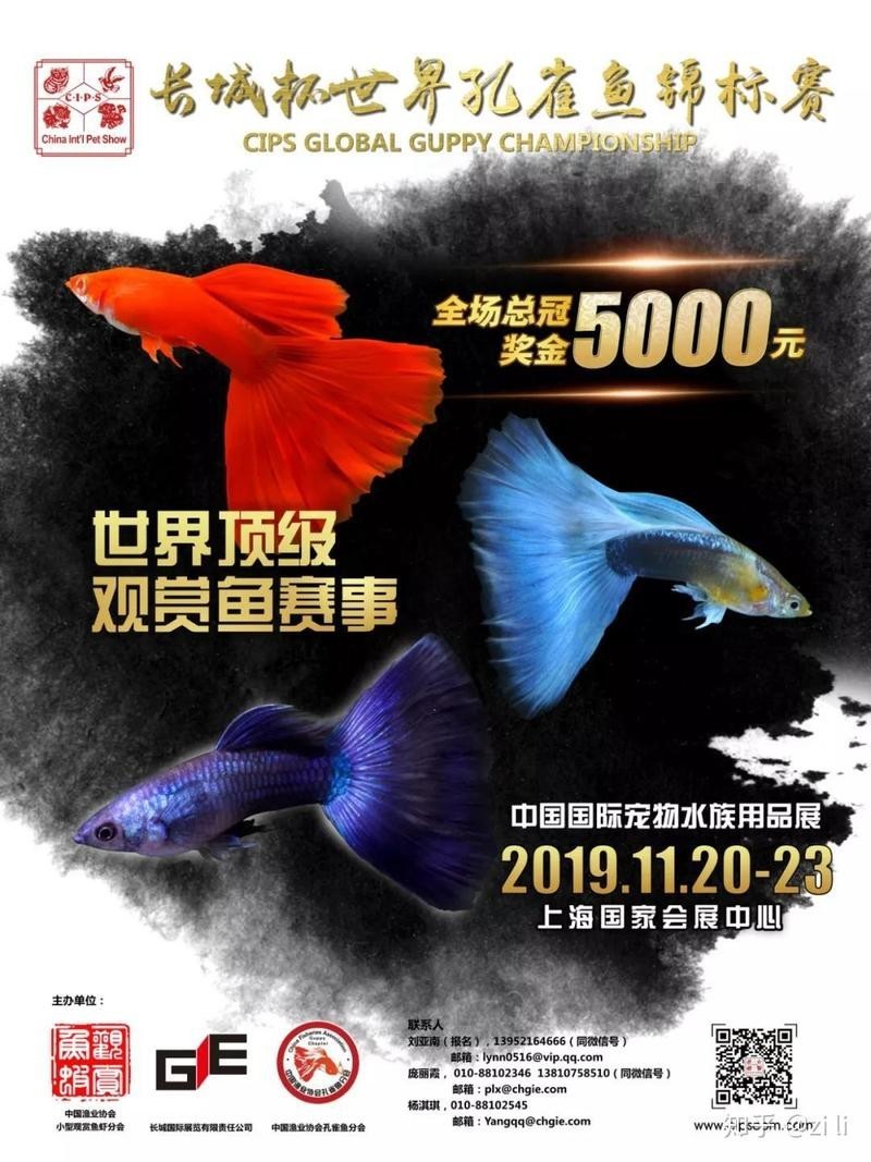 長城杯龍魚大賽的獎金如何分配？