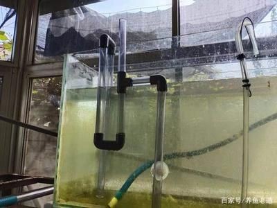 虹吸底濾魚缸的基本原理：自制虹吸底濾的步驟詳解 虹吸底濾魚缸的基本原理：自制虹吸底濾的步驟詳解 魚缸百科 第2張