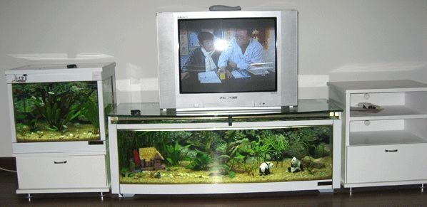 電視機(jī)柜魚缸（電視柜上放魚缸是有講究的，）