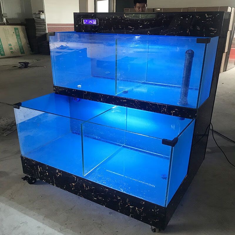 海鮮專用魚缸設計的藝術水族箱設計的藝術水族箱設計：海洋生態揭秘海鮮專用魚缸設計的藝術水族箱設計藝術水族箱設計