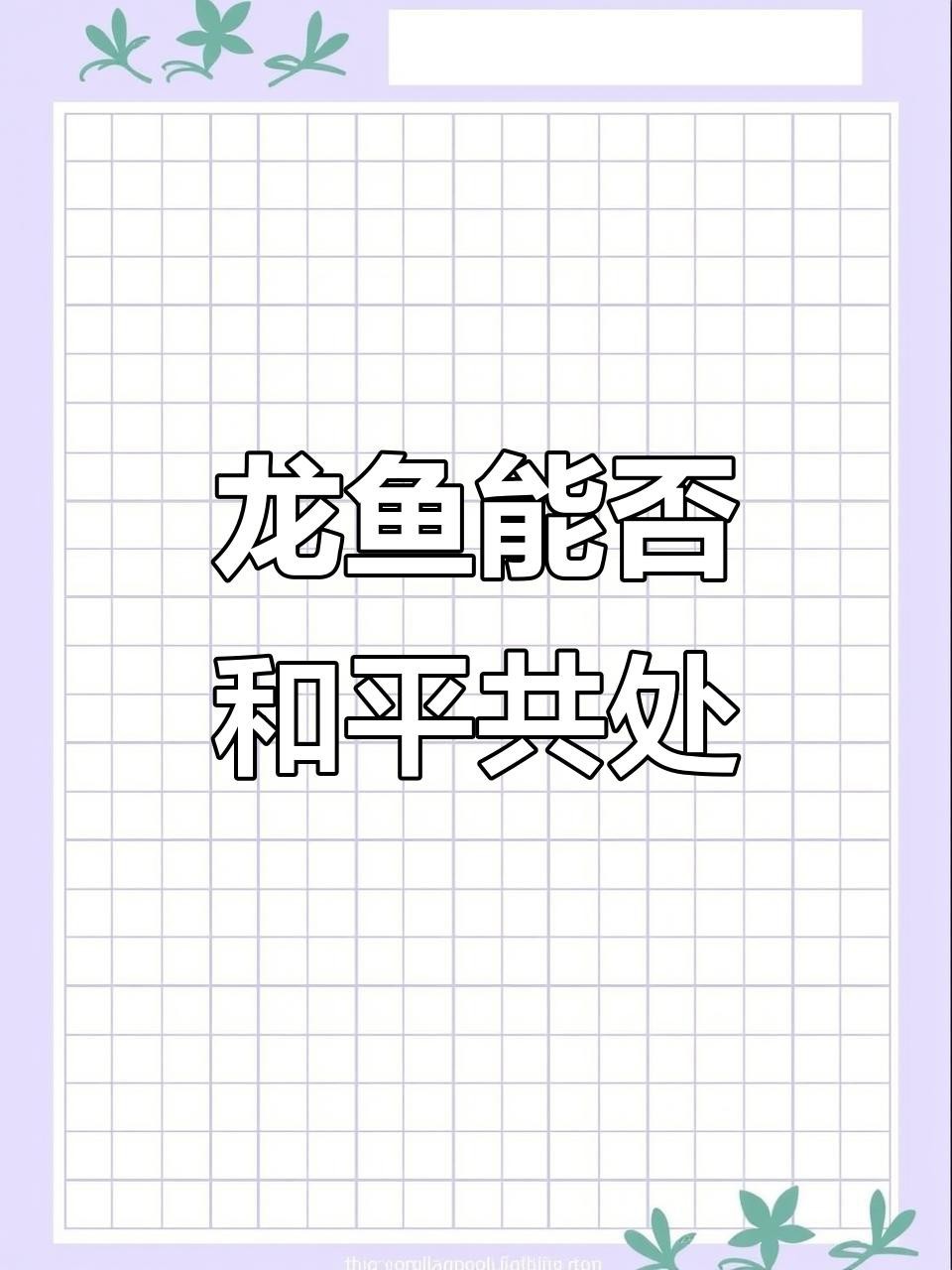 紅龍魚雙養有哪些注意事項