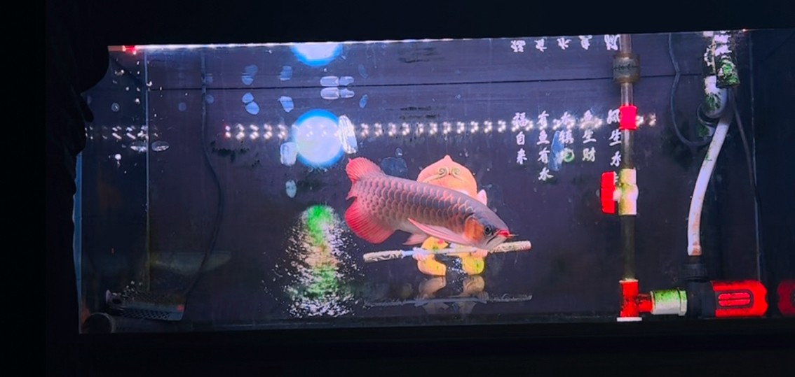 第二屆長城杯信息安全鐵人三項賽還有哪些獲獎團隊？ 第二屆長城杯信息安全鐵人三項賽還有哪些獲獎團隊？ 2025長城杯龍魚大賽 第3張
