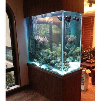 訂做魚缸設計大全：定制魚缸設計的一些詳細信息