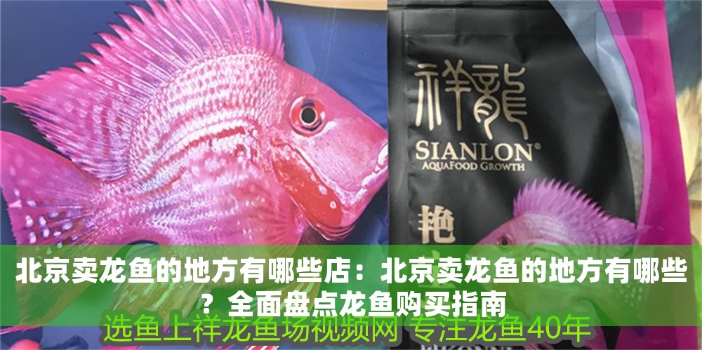 北京賣龍魚的地方有哪些店：北京賣龍魚的地方有哪些？全面盤點龍魚購買指南
