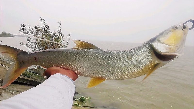 水庫晚上炸水一般是什么魚