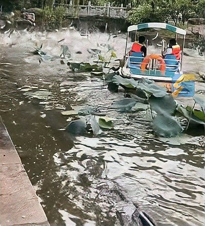 水庫晚上炸水一般是什么魚