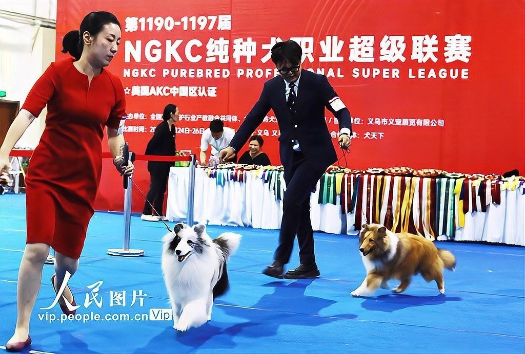 哪個寵物用品展會的規模最大？