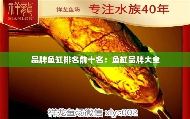 好的魚缸品牌排行榜前十名，2024年市場上表現突出的前十名魚缸品牌排行榜