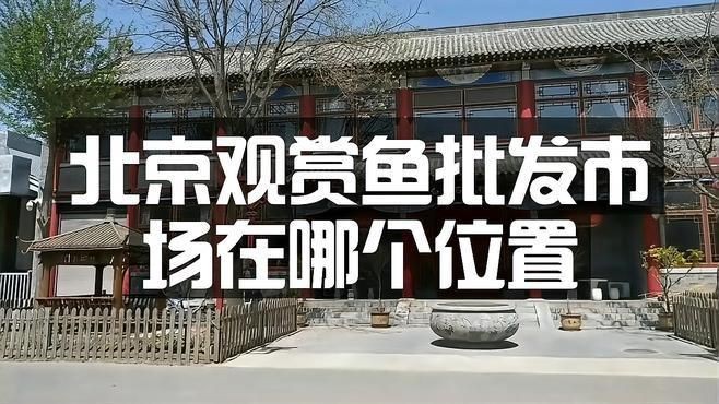 觀賞魚在什么地方