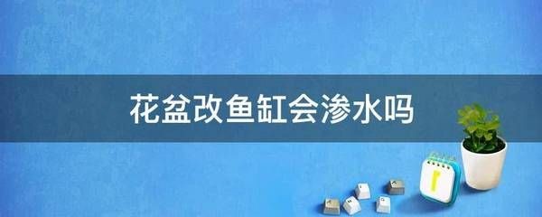 花盆改魚缸的技巧：花盆改造魚缸的技巧