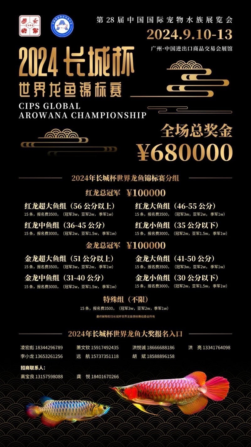 長城杯世界龍魚錦標賽報名方式是什么？