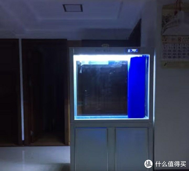 智能魚缸控制系統價格對比：智能魚缸控制系統價格對比分析 智能魚缸控制系統價格對比：智能魚缸控制系統價格對比分析 魚缸百科 第4張