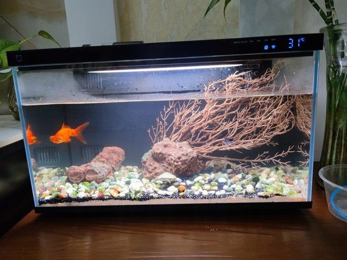 智能魚缸控制系統價格對比：智能魚缸控制系統價格對比分析 智能魚缸控制系統價格對比：智能魚缸控制系統價格對比分析 魚缸百科 第6張