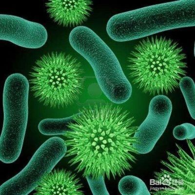 魚缸硝化細菌培養(yǎng)：如何檢測魚缸中的硝化細菌數(shù)量