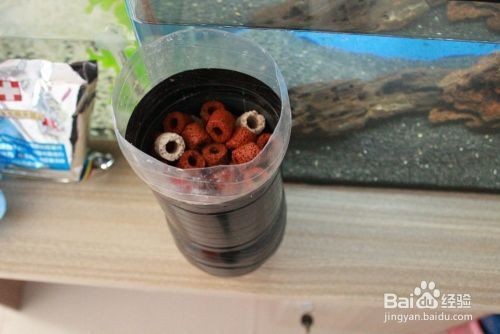 魚缸硝化細菌培養(yǎng)：如何檢測魚缸中的硝化細菌數(shù)量