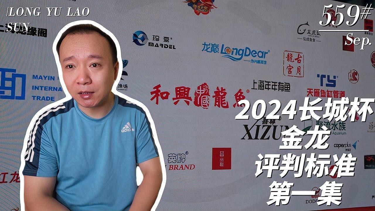 龍魚2024年賽程表最新